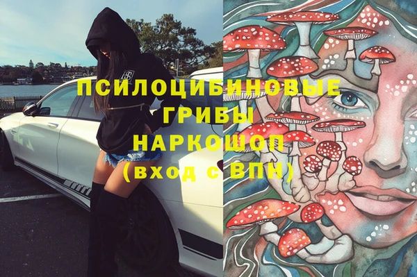 гидра Краснослободск