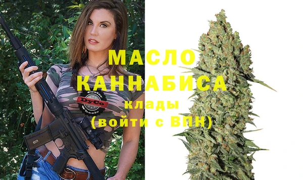 гидра Краснослободск